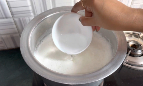 curdle milk at home to make chhena